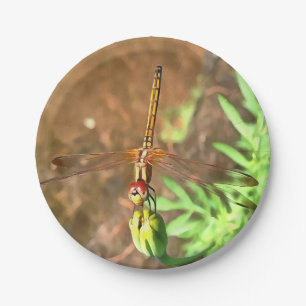 Prato De Papel Dragonfly Artística Descendo Sobre Uma Cabeça De