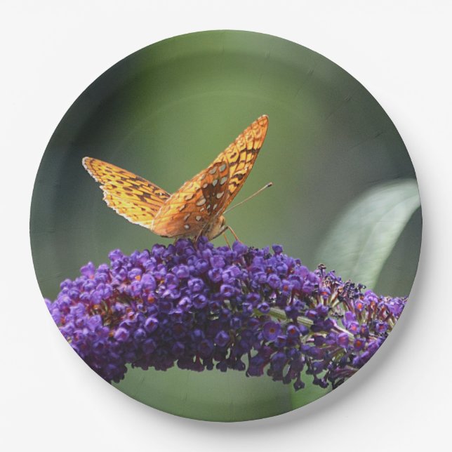 Prato De Papel Dreamfly Plate (Frente)