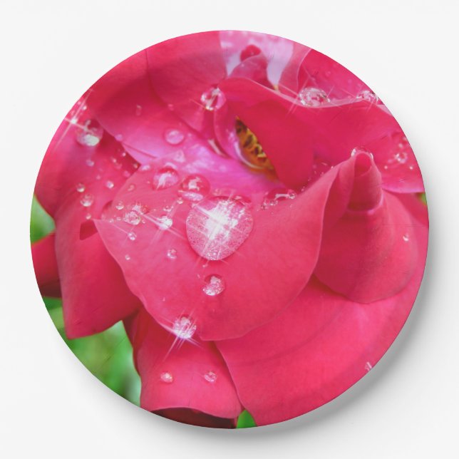 Prato De Papel Droplets em placas de papel de Petals (Frente)