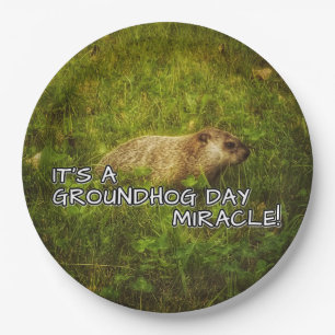 Prato De Papel É placas de um milagre do dia de groundhog