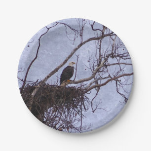 Prato De Papel Eagle E Nest Painterly