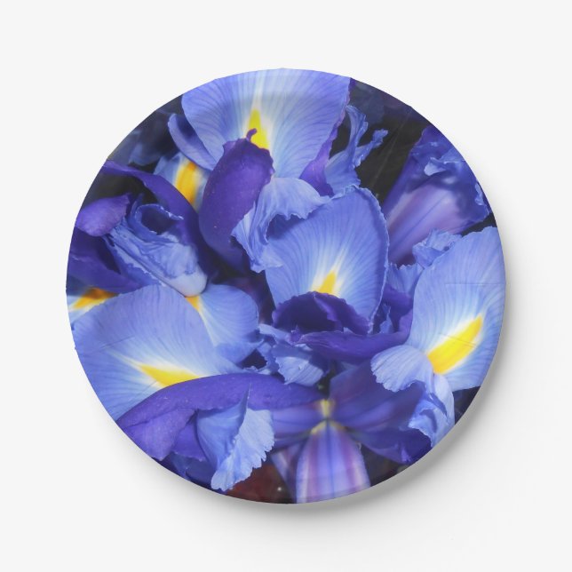 Prato De Papel Ermengarde (Frente)