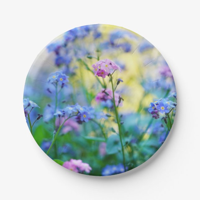 Prato De Papel Esqueçam-me-não-flores (Frente)