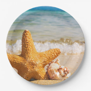 Prato De Papel Estrela do mar e Seashells na praia