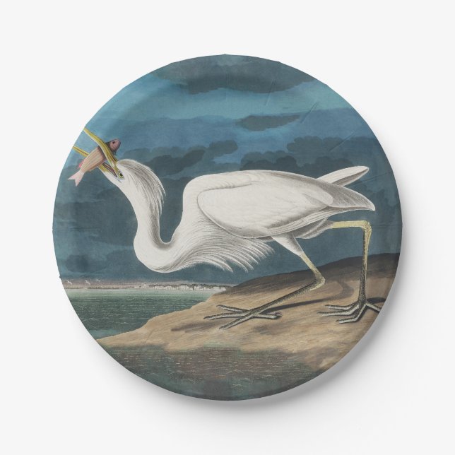 Prato De Papel Excelente White Heron Audubon Bird Willife Paintin (Frente)