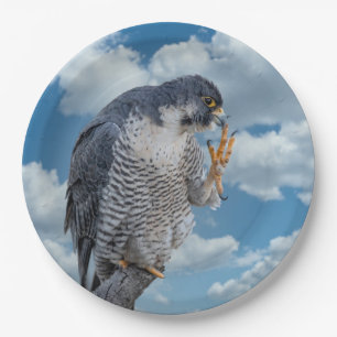 Prato De Papel Falcão Peregrine ao longo do rio Hudson