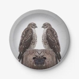 Prato De Papel Falcões em um cargo