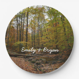 Prato De Papel Fall Creek em Laurel Hill State Park na Pensilvâni