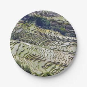 Prato De Papel Famosos terraços de arroz yuanyang - Yunnan, Chin