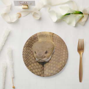 Prato De Papel Feliz aniversário do Cobra