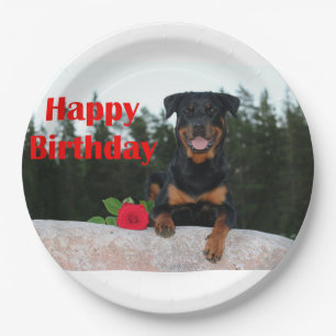 Prato De Papel feliz aniversário do rottweiler