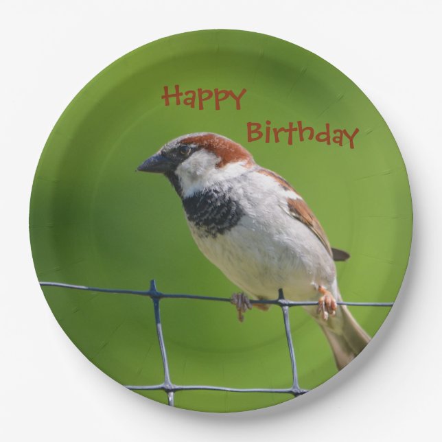 Prato De Papel Feliz Ave Plate Birthdy (Frente)