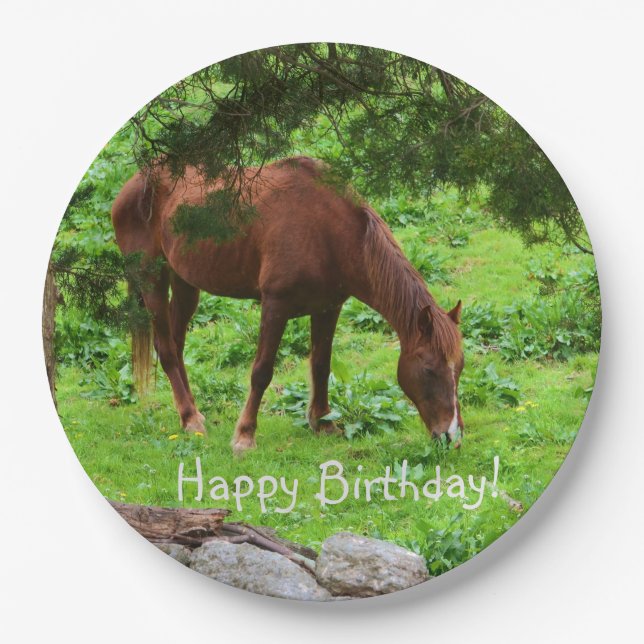 Prato De Papel Feliz Cavalo de Aniversário (Frente)