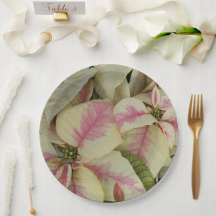 Prato De Papel Feriado de Poinsettias, rosa e creme