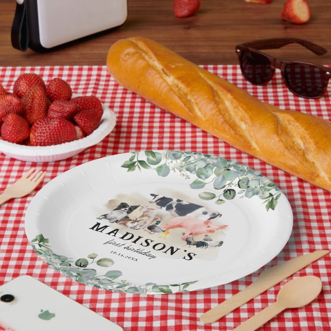 Prato De Papel Festa de Aniversário de criança de Animais de Expl (Piquenique)