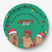 Festa de Aniversário Luzes de Natal de Capivara