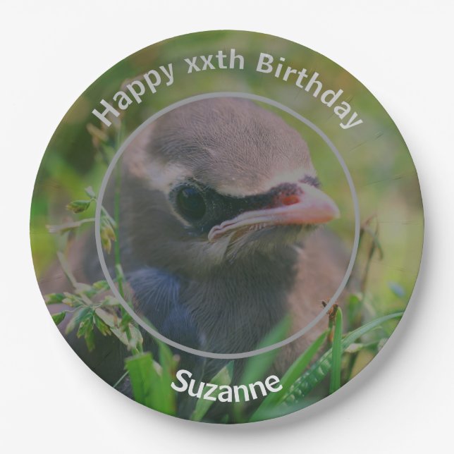 Prato De Papel Festa de aniversário Personalizada de Pássaros de  (Frente)