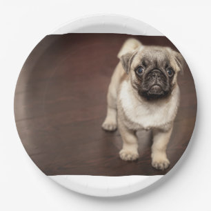 Prato De Papel filhote de pug em sépia