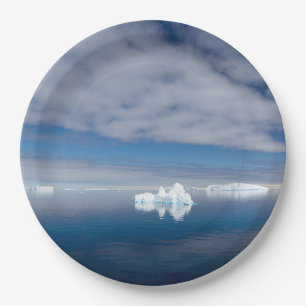 Prato De Papel Floating ice in Antarctica