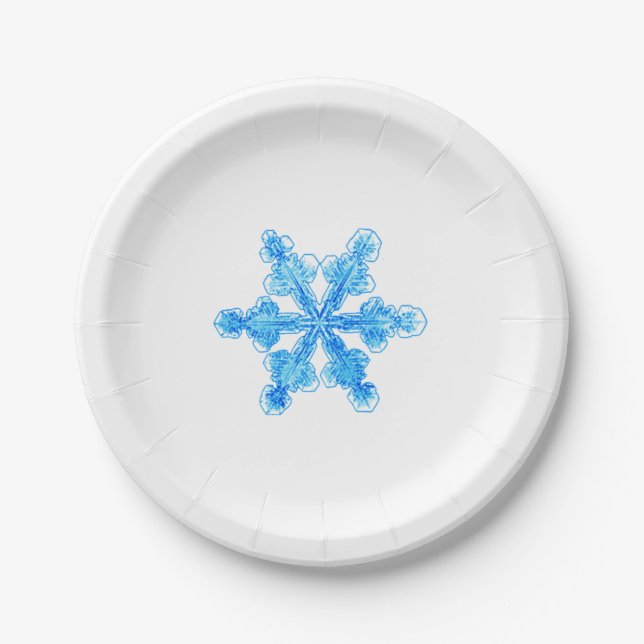 Prato De Papel Floco de neve azul-inverno (Frente)