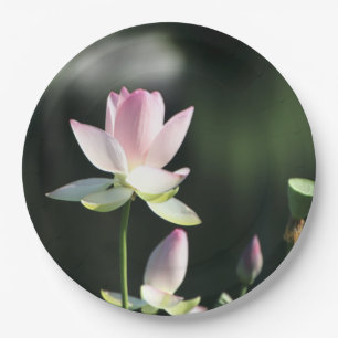 Prato De Papel Flor de Lotus Branco e Rosa