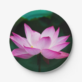 Prato De Papel Flor de Lotus Rosa