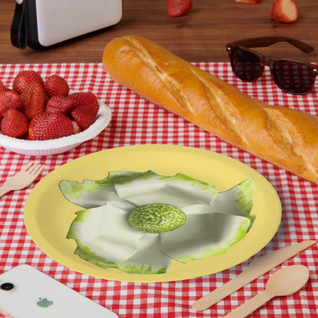 Prato De Papel Flor de Margarida Divertida Primavera Verão Casame (Piquenique)