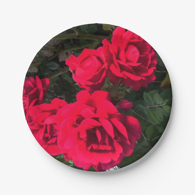 Prato De Papel Flor de Rosa Vermelha Romântica Festa (Frente)