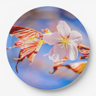 Prato De Papel Flor de Sakura Rosa Céu Azul