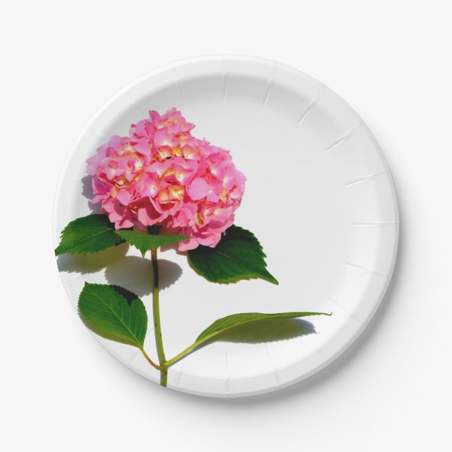 Prato De Papel Flor rosa-rosa Hydrangea cor-de-rosa-rosa (Frente)