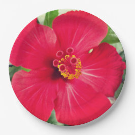 Prato De Papel Flor Vermelha de Hibisco Rosa-sinensis