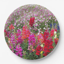 Floral Colorida do Jardim Snapdragon