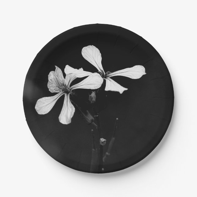 Prato De Papel floral preto e branco mínimo (Frente)