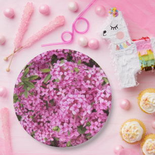 Prato De Papel Floral Rosa bonito