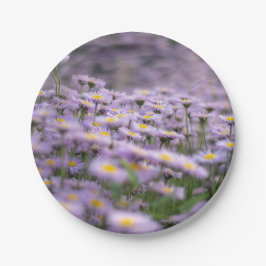 Prato De Papel Flores de Aster Roxo