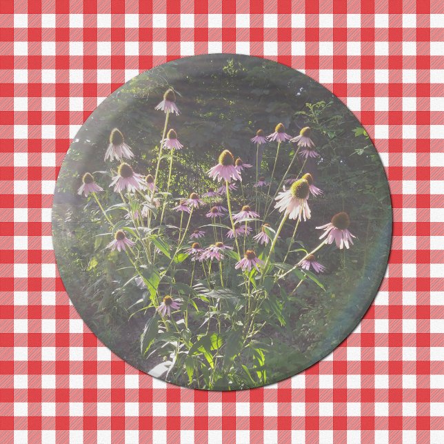 Prato De Papel Flores de Echinacea ao Sol (Echinacea Flowers in the Sun Paper Plates on Tablecloth)