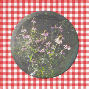 Prato De Papel Flores de Echinacea no Sol