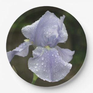 Prato De Papel Flores de Iris Periwinkle com gotas de chuva