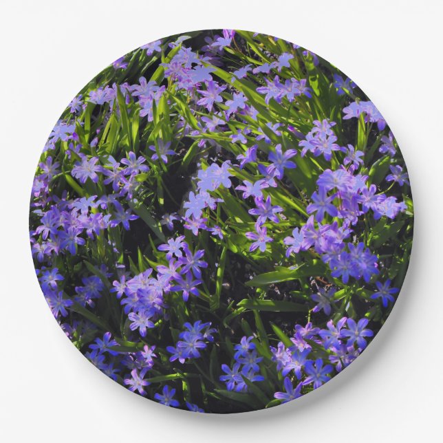Prato De Papel Flores de Mola Azul Placa Jantada (Frente)