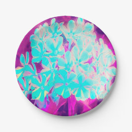 Prato De Papel Flores de Phlox Azuis-Peppermint Twist de Robin