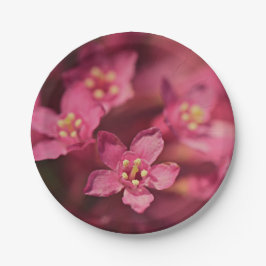 Prato De Papel Flores Rosa Bonitas