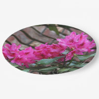 Flores rosa de Azalea