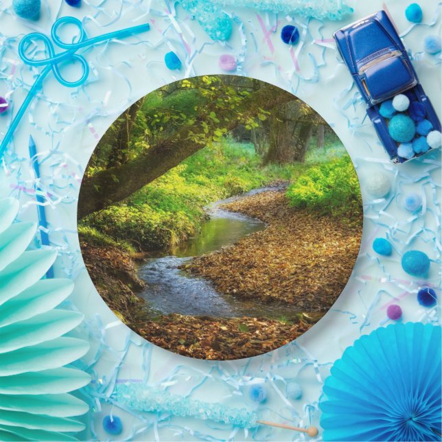 Prato De Papel Floresta Creek Belo Paisagem Natural (Festa)