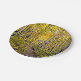 Prato De Papel Floresta de Árvores Aspen