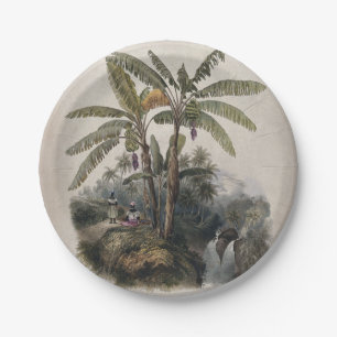 Prato De Papel Floresta Tropical Antiquada de Banana   Vintage Bo