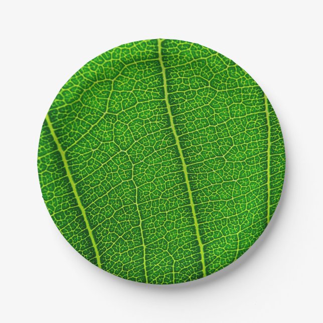 Prato De Papel Folha de Árvore Verde (Frente)