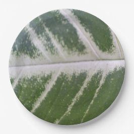 Prato De Papel Folha Verde Elegante de 9 Polegadas com Linha Bran