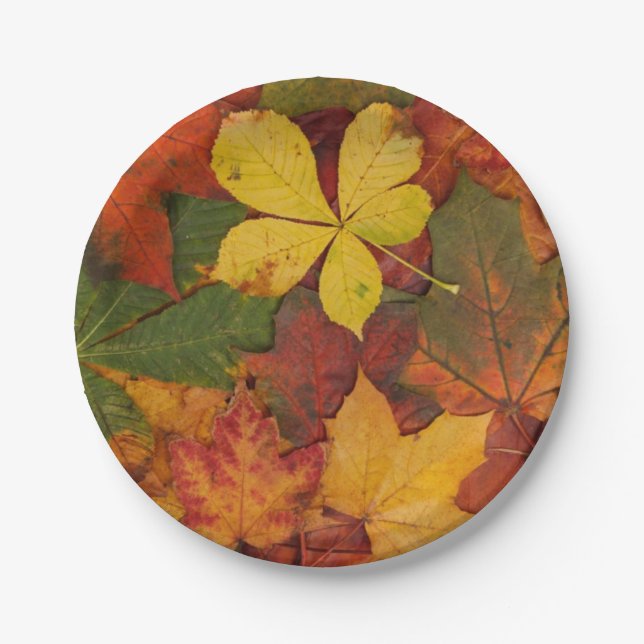 Prato De Papel Folhas de papel de queda (Frente)
