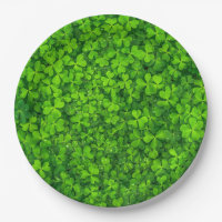 Folhas de Véu Verde com Gotas de Água
