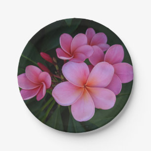 Prato De Papel Foto de flor de plumeria rosa bonita